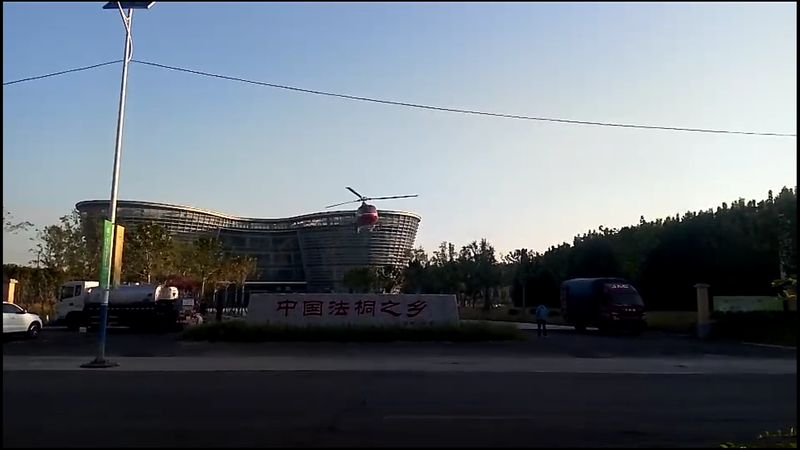 飞防法桐.png